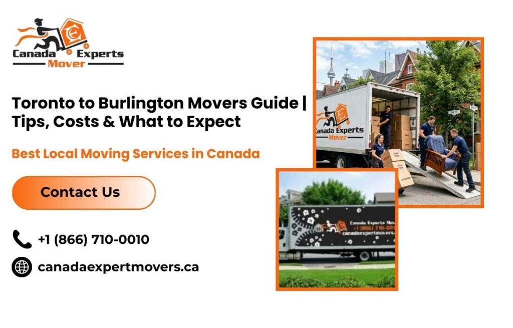 Professional Toronto to Burlington movers loading a truck for a smooth home relocation.