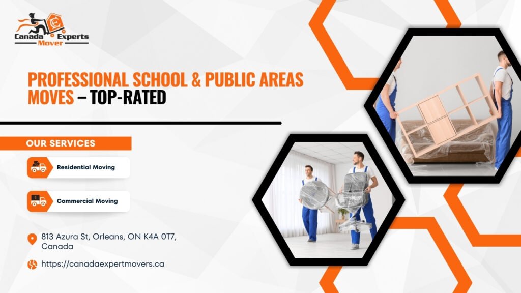 Professional School & Public Areas Moves – Top-Rated