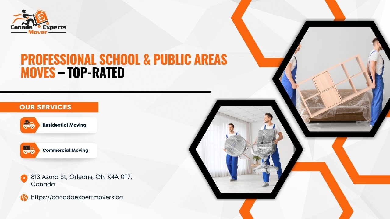 Professional School & Public Areas Moves – Top-Rated